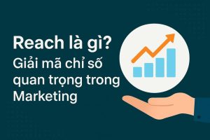reach là gì